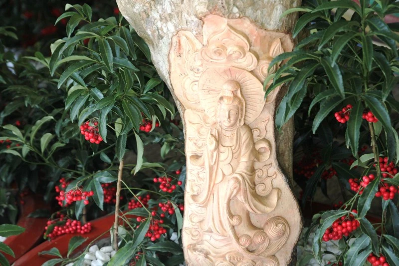 Độc đáo cây phát tài khắc hình Phật tại chợ hoa Sài Gòn ảnh 8